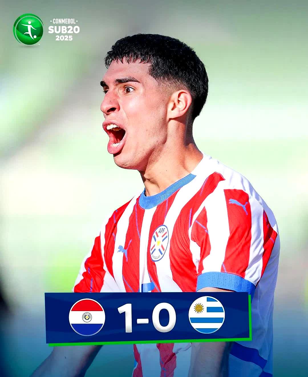 开云体育下载-关于佛罗伦萨阿根廷中卫出色发挥，稳定防线的信息