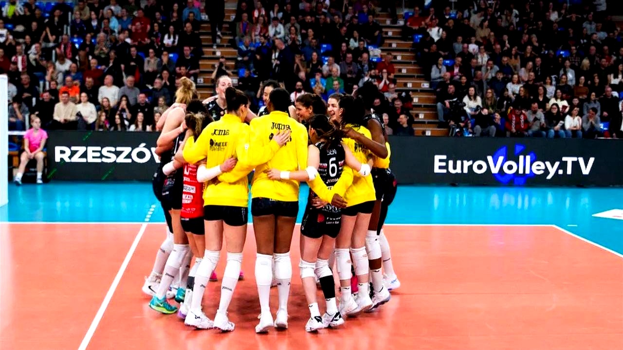 法国女排成功晋级实力赛半决赛