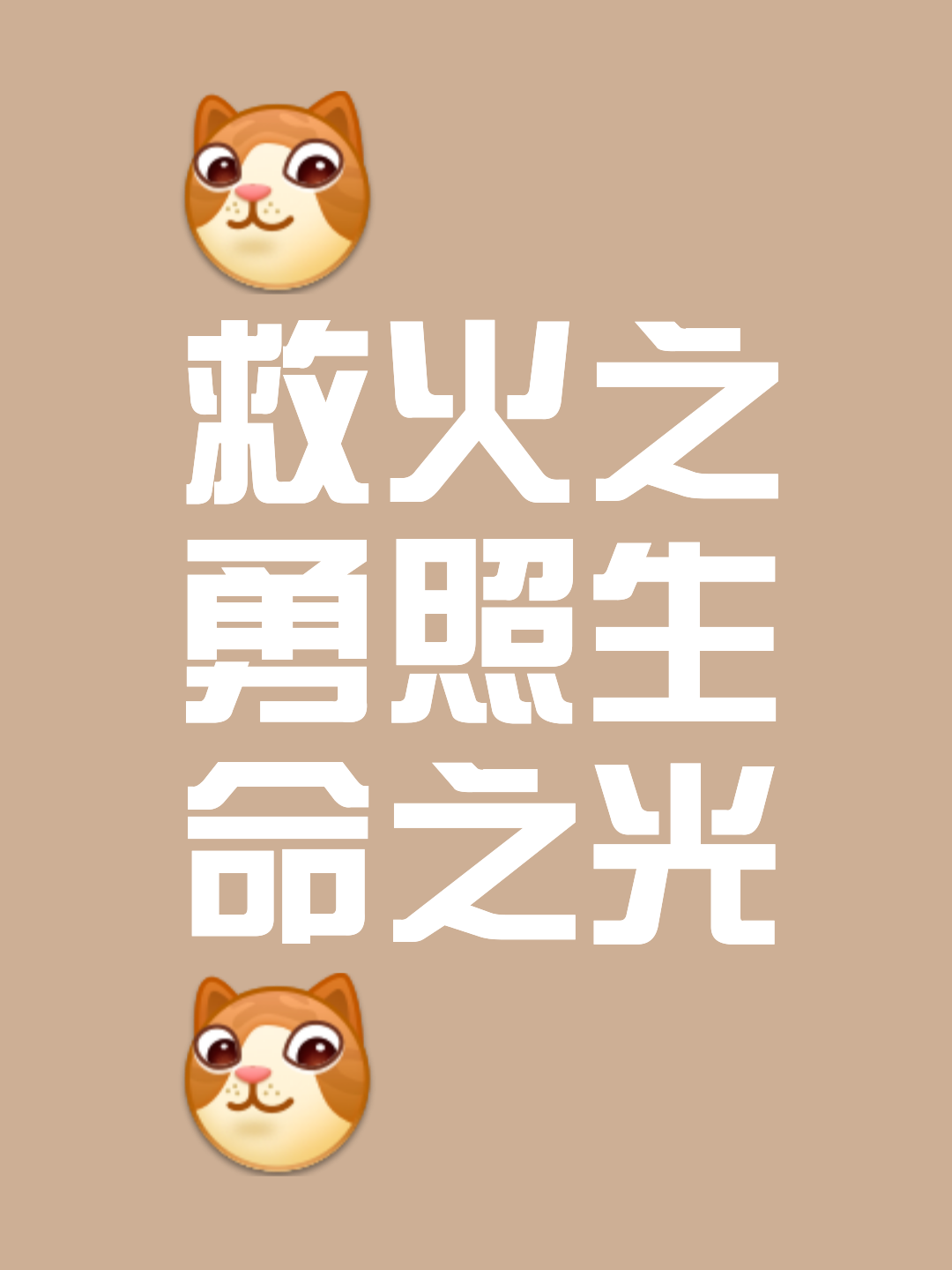 烈焰中生命重燃，胜负尽在瞬间的简单介绍