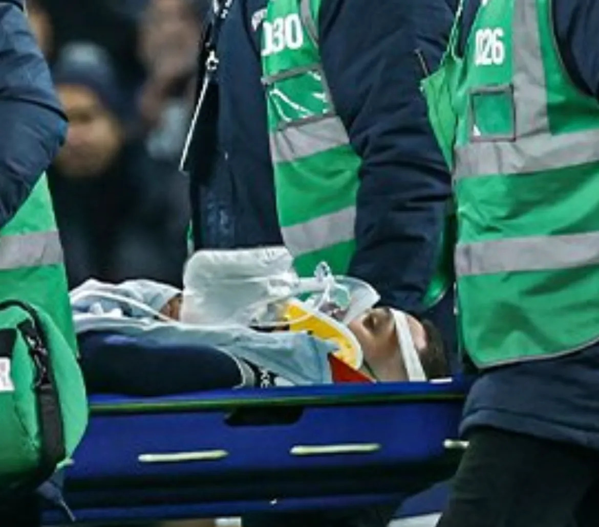 开云APP-包含热刺主场惨败，球迷情绪低落的词条