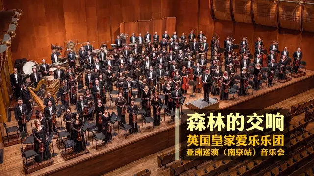 开云体育官网-阿联酋篮球职业联赛全明星阵容曝光，大咖云集的简单介绍