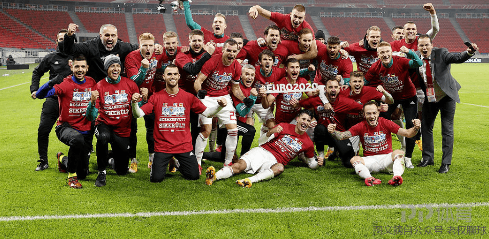 开云体育-匈牙利队意外淘汰于欧预赛比赛的简单介绍