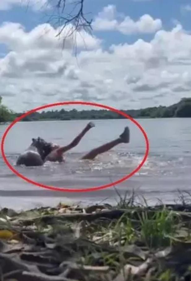 哥伦比亚选手在游泳项目中创造历史的简单介绍